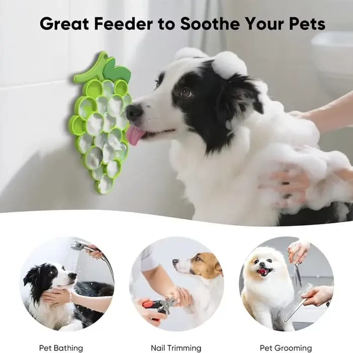 Fournitures pour animaux de compagnie bol de nourriture lente chat Anti-coups anti-dérapant bol