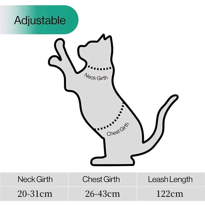 Ensemble harnais et laisse pour chat