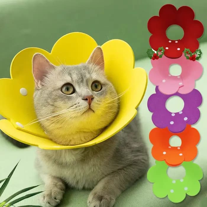 Colliers de récupération réglables en forme de fleur pour chat