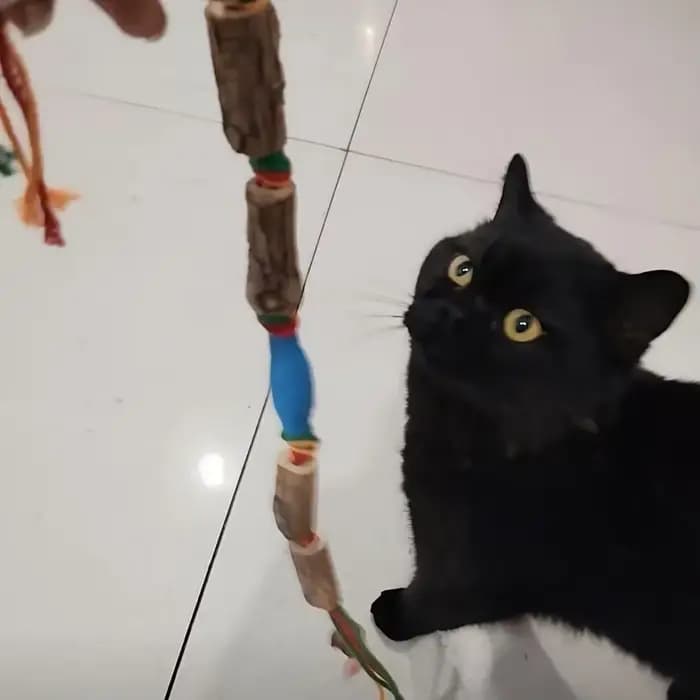 Jouet 2 pièces qui attire les chats à jouer-un