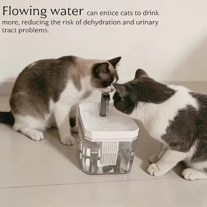 Fontaine à eau pour chat de 1