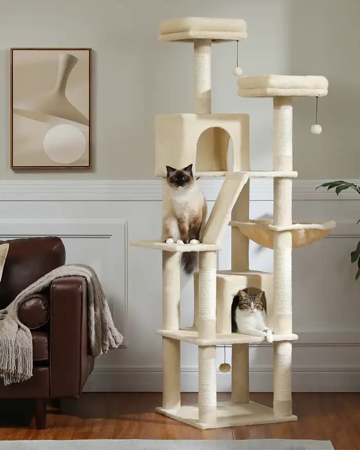 Grand arbre à chat pour intérieur