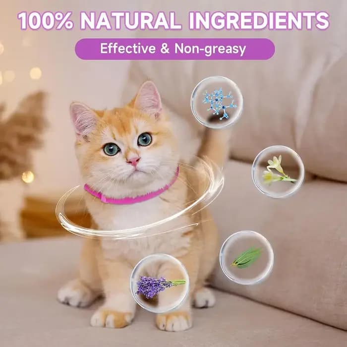 Collier apaisant pour chien et chat, sangle de cou en plastique, collier apaisant pour chat réglable, soulage l'anxiété, élimine l'agitation, produit apaisant pour animaux de compagnie