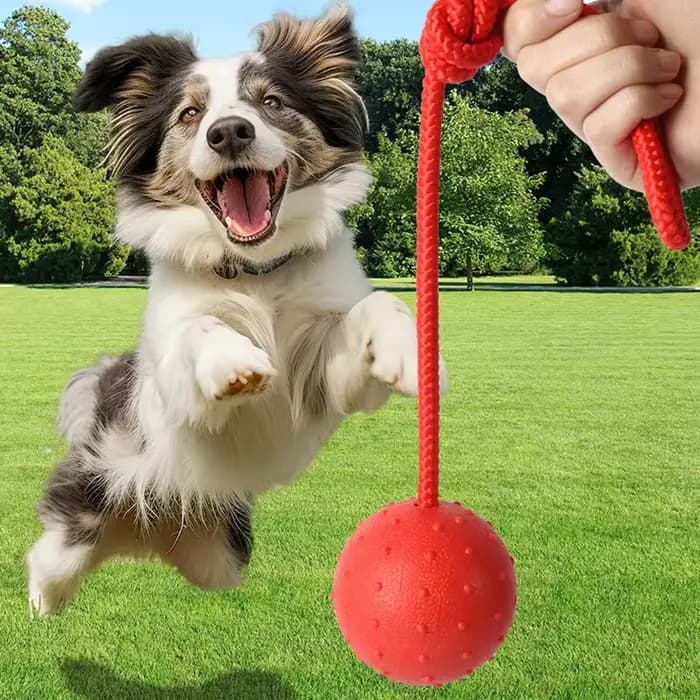 Balle en caoutchouc avec corde