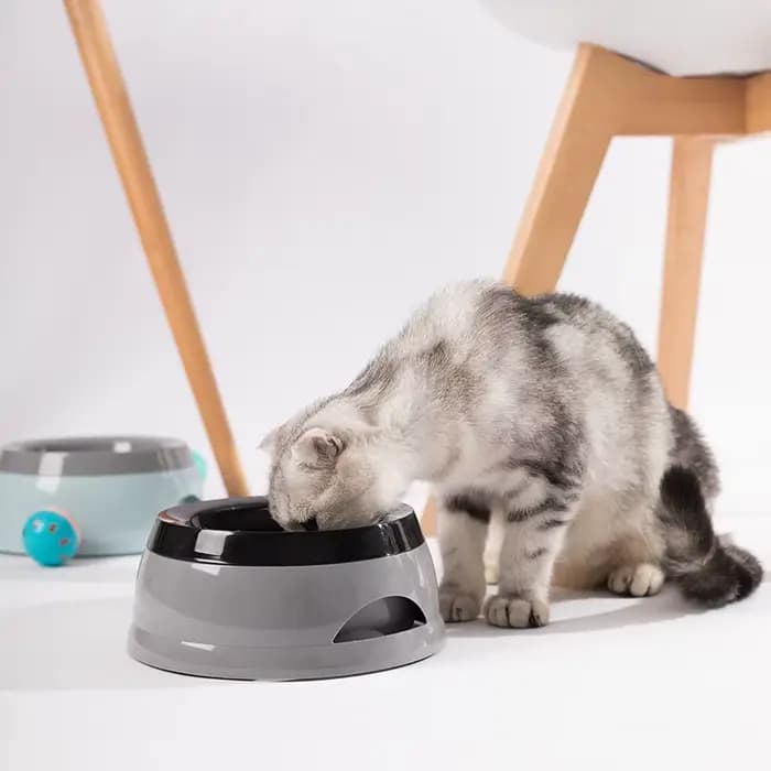 Gamelle flottante en plastique pour animaux de compagnie