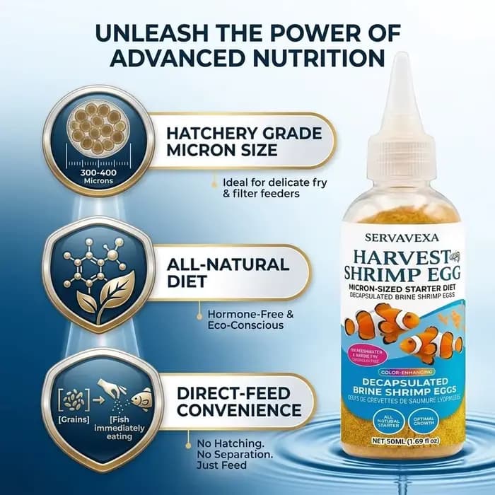 Nourriture pour poissons riches en protéines pour béta et guppy