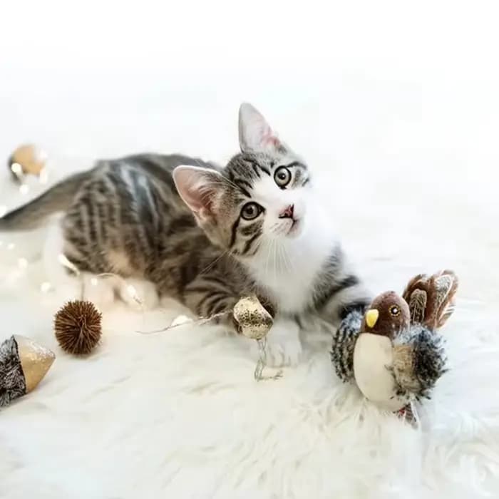 Jouets Interactifs en Peluche pour Chat