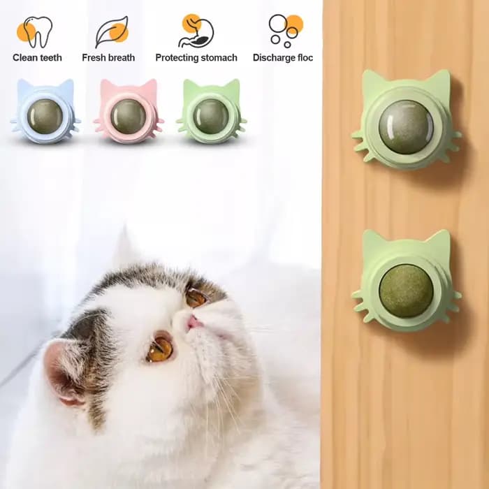Sucette collée en herbe-aux-chats