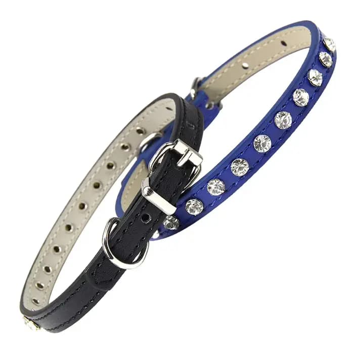 Collier de luxe en cuir pour chat