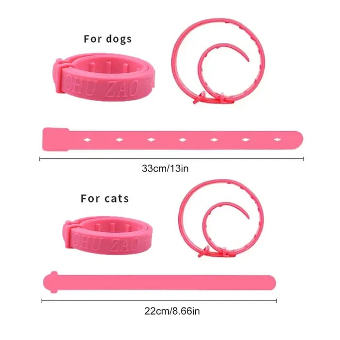 Collier pour chien et chat