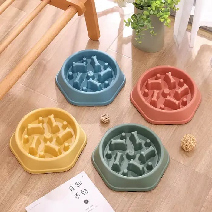 Bol de nourriture lente pour chien et chat