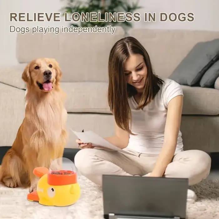 Jouet pour chat mangeoire automatique