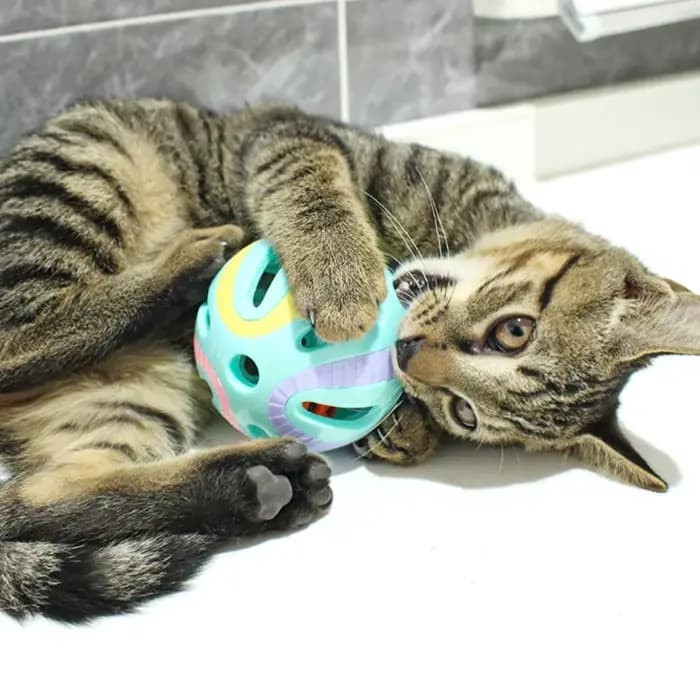 Cloche balle chat jouets chaton coloré jouer