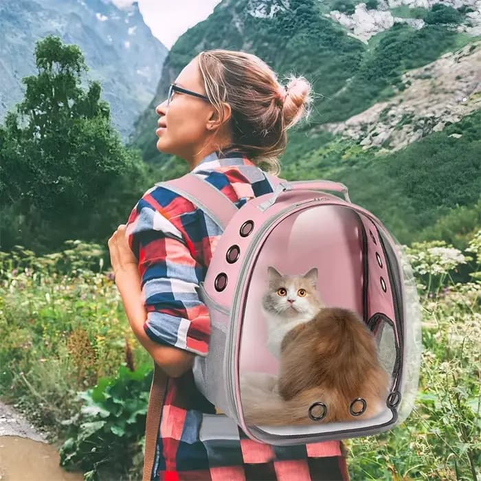 Sac à Dos pour Chat, Sac à Dos pour Chat en Plein Air