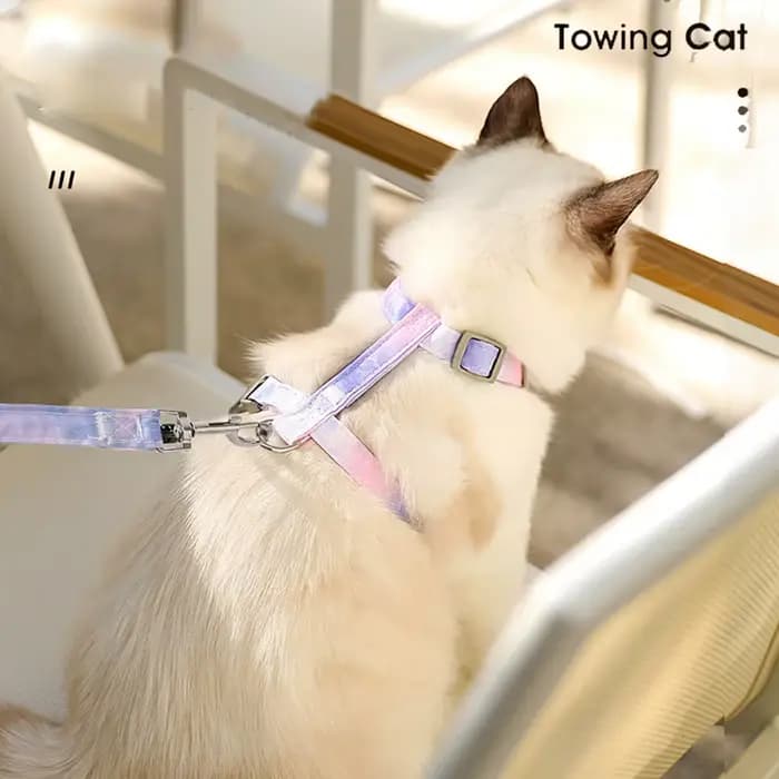Gilet harnais pour chat de type H