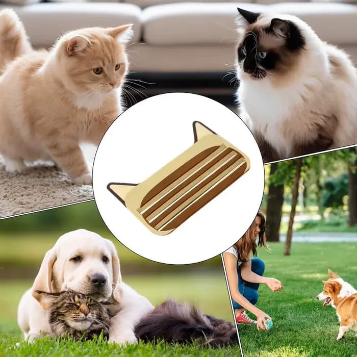Distributeur de friandises pour chat réutilisable