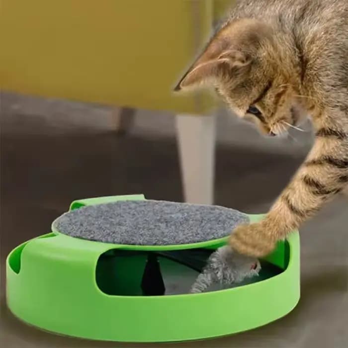 Jouet pour chat plateau tournant souris jouets interactif Intelligence piste d'entraînement jeux drôles chat griffoir jouet jouets pour animaux de compagnie accessoires