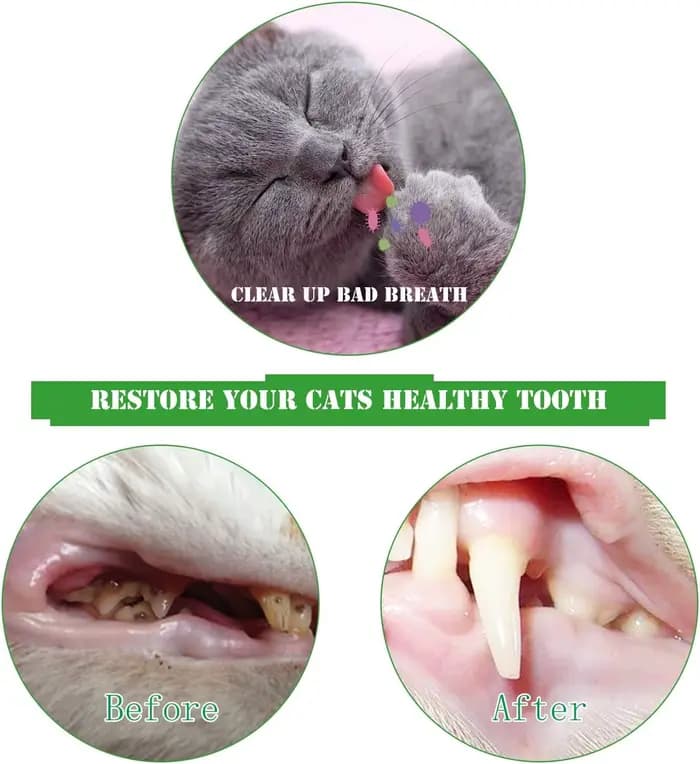 ATUBAN Brosse à dents pour chat avec jouet à la catnip