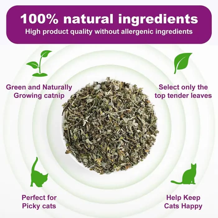 Jouet pour chat bio 100% naturel de haute qualité
