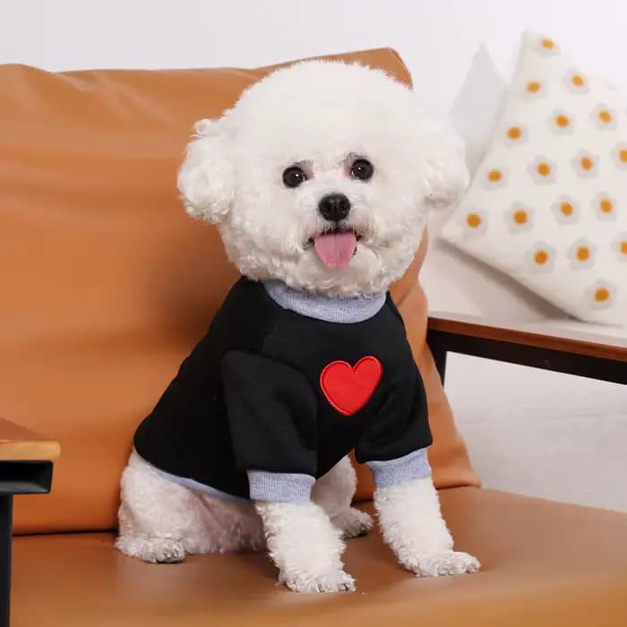 Pull moyen chat pour Taddy Yorkshire hiver chaud petit chien à capuche amour