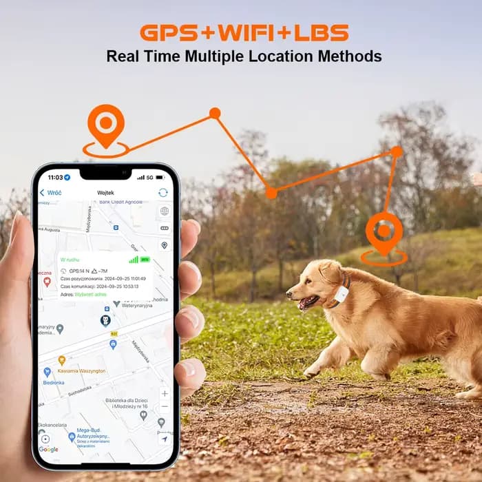 Collier GPS intelligent 4G pour chiens et chats
