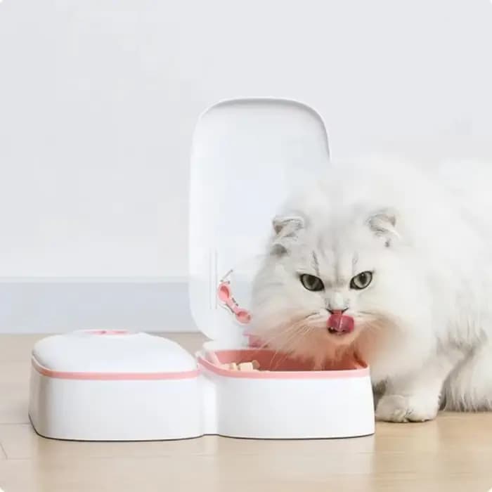 Mangeoire pour chien et chat