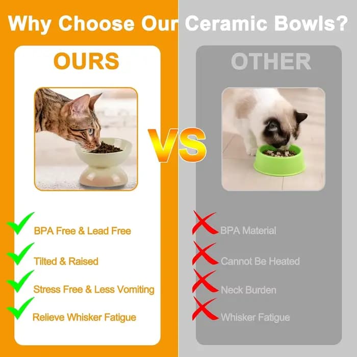 Bols surélevés en céramique pour chat