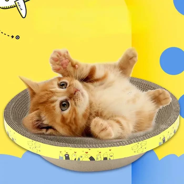 Planche à gratter pour chat