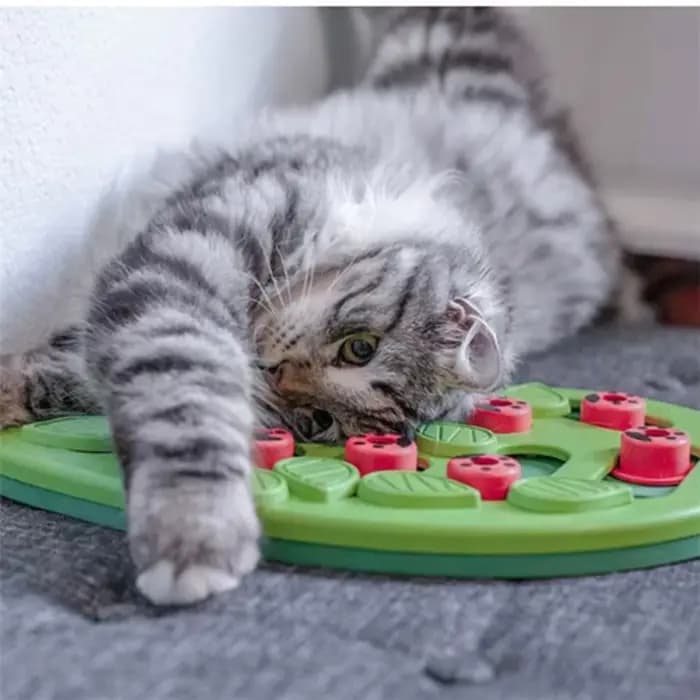 Jouet de puzzle pour chat en plastique non toxique de haute qualité