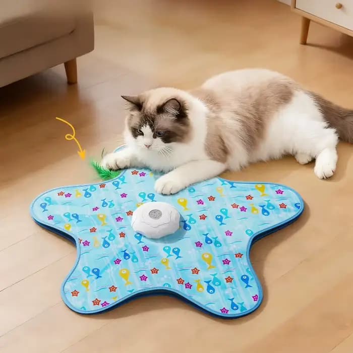 Jouet interactif électrique pour chat : tourne-disque sonore
