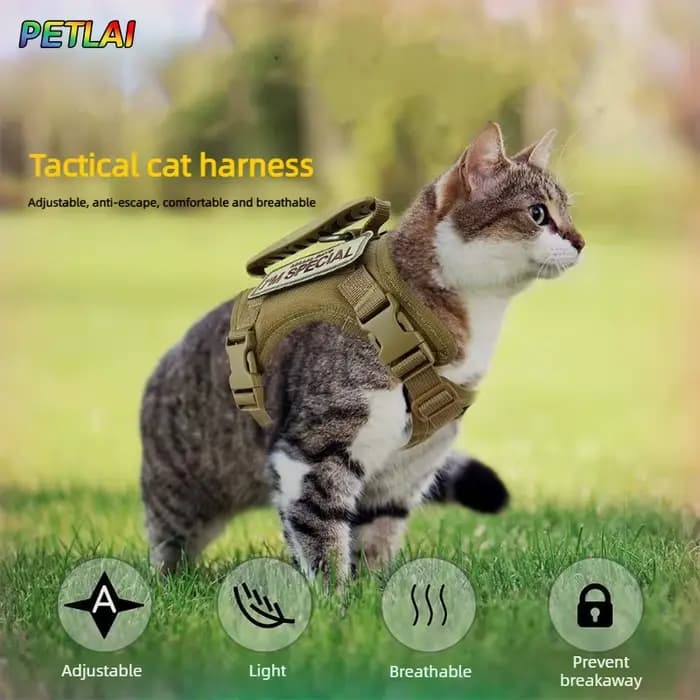 Harnais et laisse tactiques pour chat