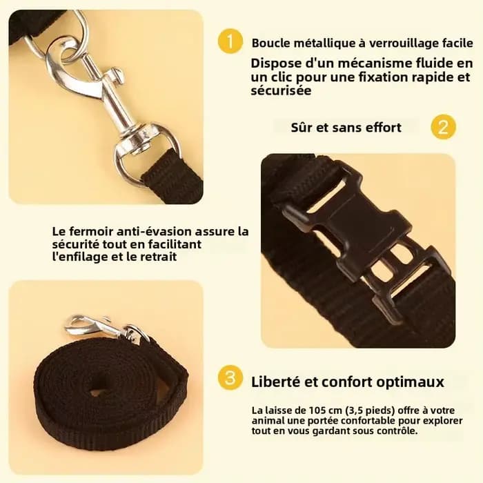 Laisse harnais pour chat
