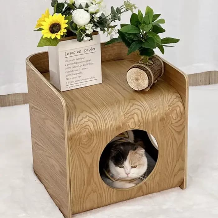 Maison en bois pour chat