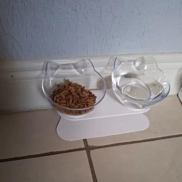 Bols pour chat, bols de nourriture pour chat inclinés surélevés