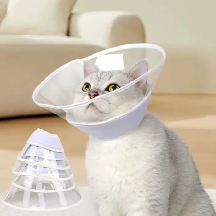 Collier cône de récupération pour chat transparent réutilisable
