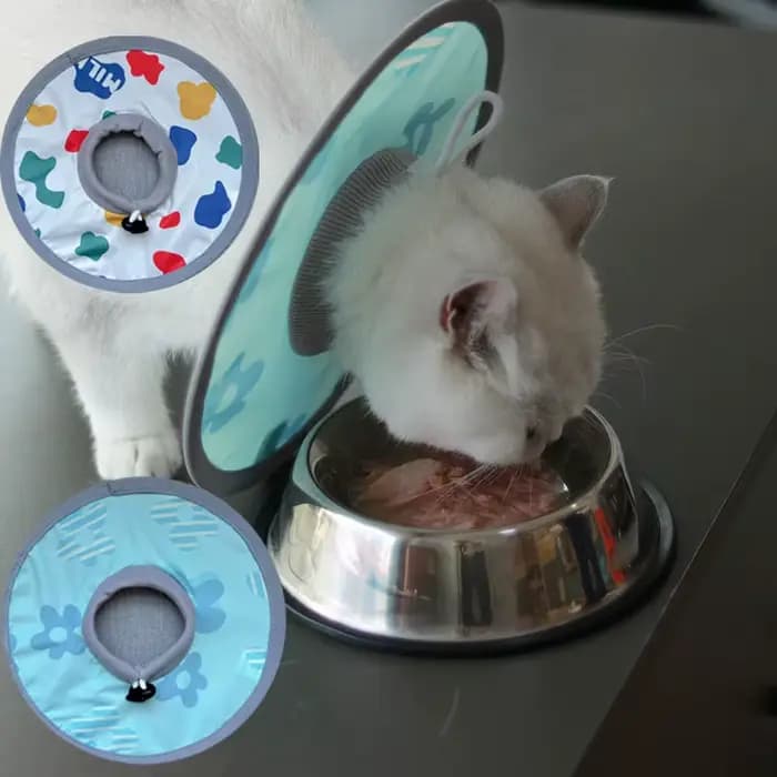 Collier Élisabéthain Imperméable et Réglable pour Animaux de Compagnie