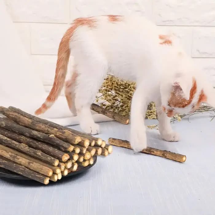 15 pièces naturel Matatabi chat herbe-aux-chats jouet chaton molaire bâton à mâcher nettoyage des dents