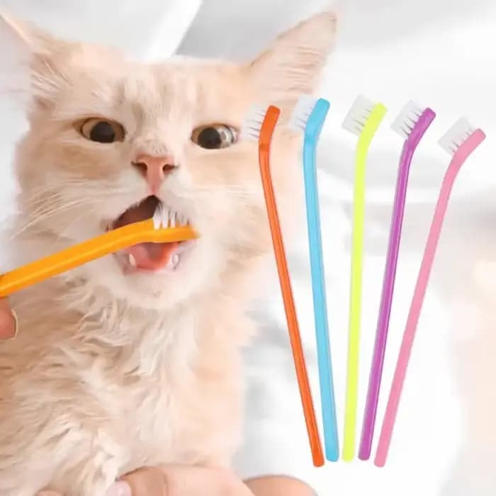 Brosse de nettoyage pour dents de chat et chien