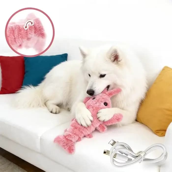 Jouet Électrique Rechargeable USB pour Chat