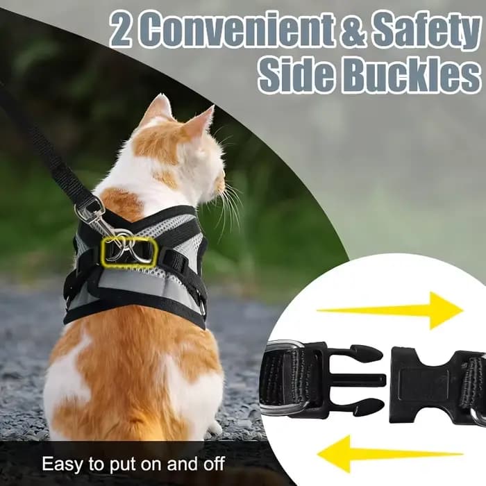 Ensemble de laisse pour chat et chien
