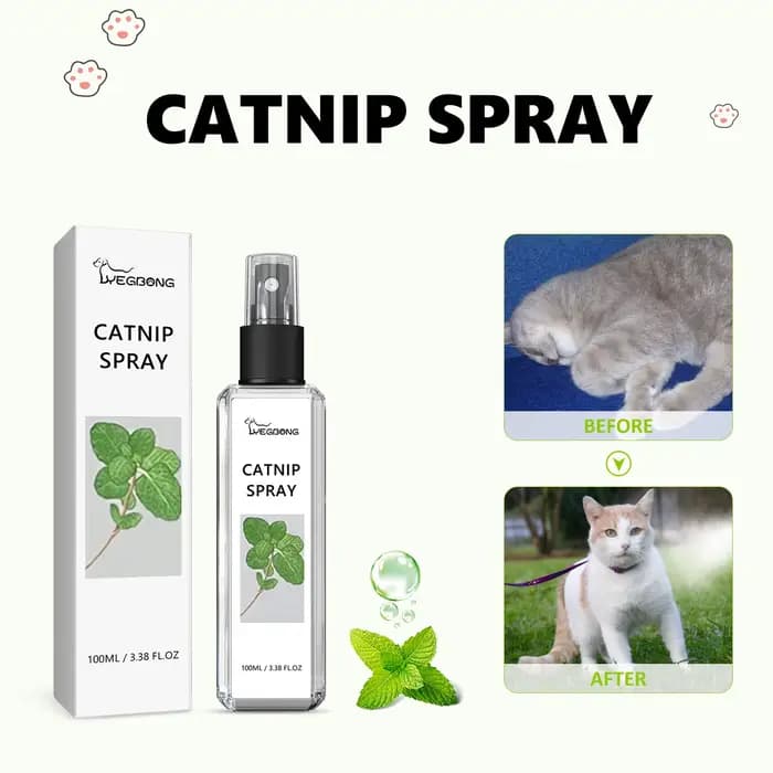 Spray d'herbe à chat pour chats