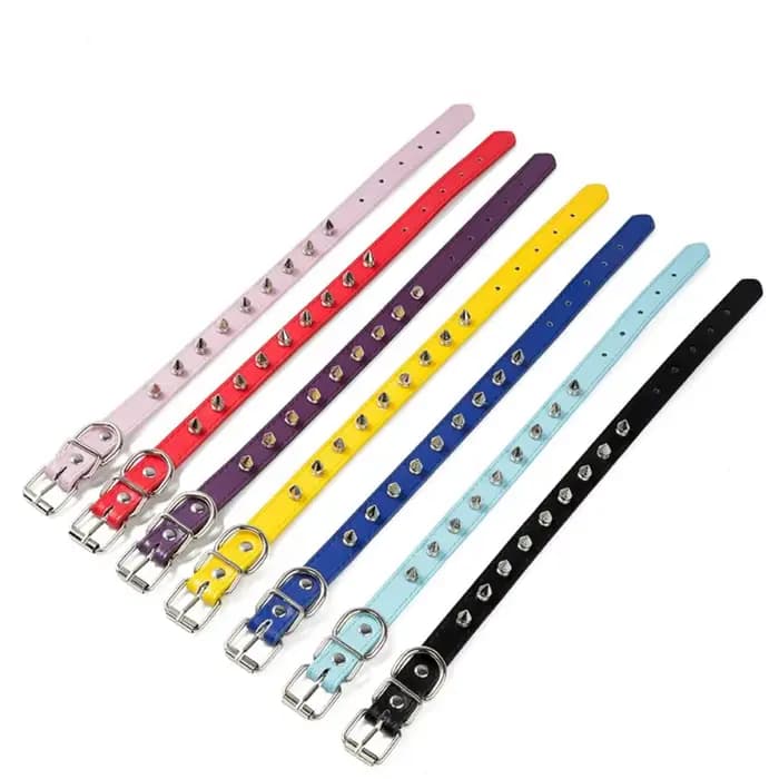 Collier en cuir coloré et réglable pour chat et chien