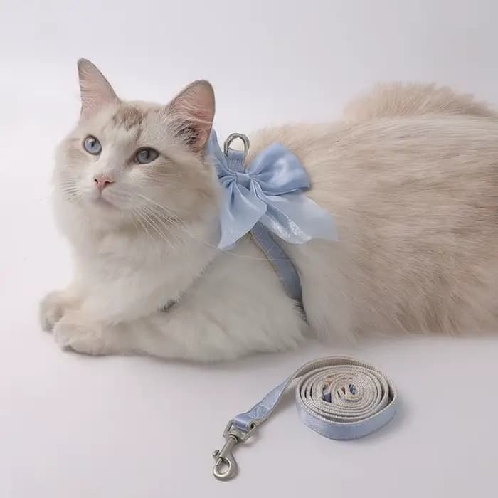 Harnais et laisse pour chat à nœud papillon
