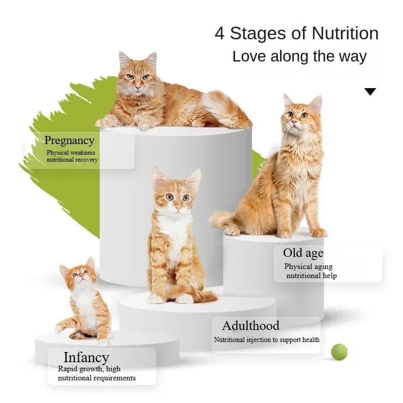 Nourriture pour chatons adaptée aux chatons nouveau-nés, supplément de protéines