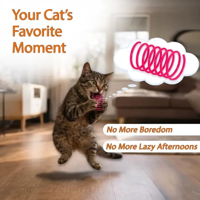 Jouet à ressort pour chat (lot de 24 pièces), ressort en spirale en plastique pour jouets pour chat, utilisé pour tapoter, mordre, chasser et jouer activement et sainement