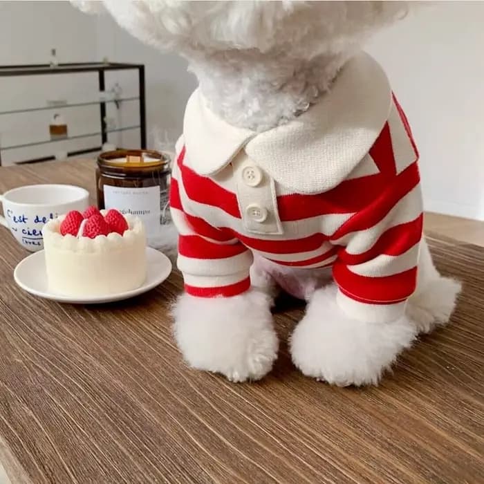 Polo d'été pour chiens