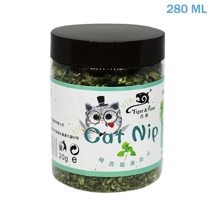 Herbe à chat biologique naturelle de haute qualité
