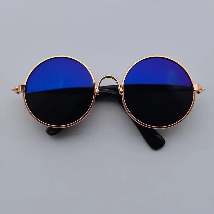 Lunettes de soleil rondes Vintage pour chat
