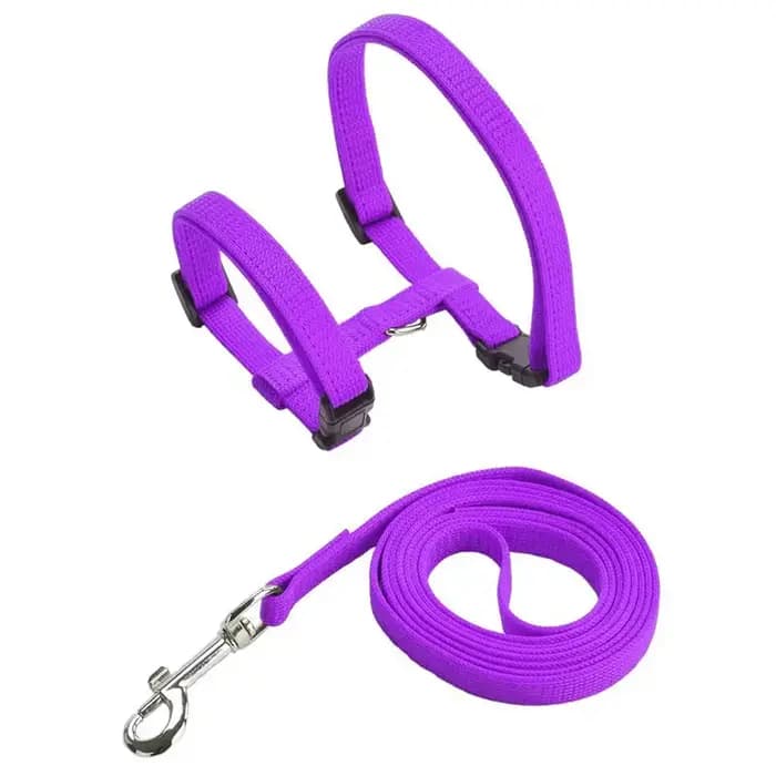 Ensemble de laisse réglable en nylon SFP pour animaux de compagnie
