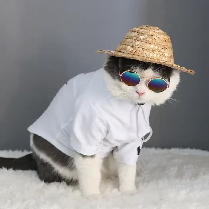 Jolies lunettes de soleil rondes Vintage pour animaux de compagnie, lunettes réfléchissantes pour pe